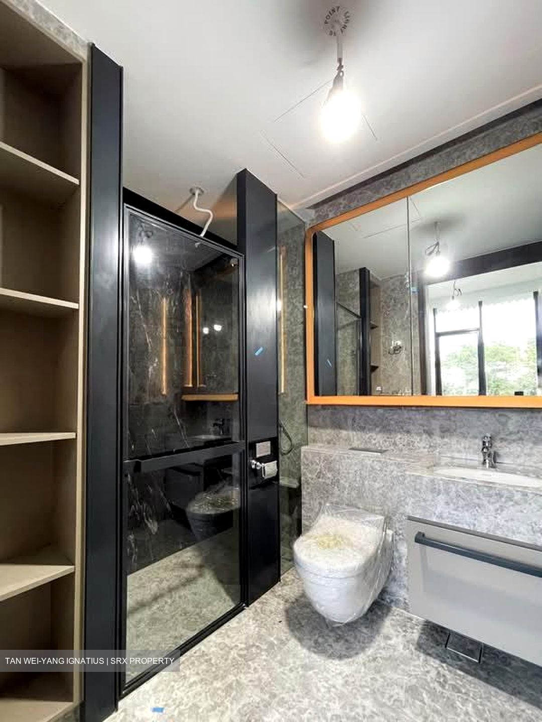 Van Holland (D10), Condominium #595747341